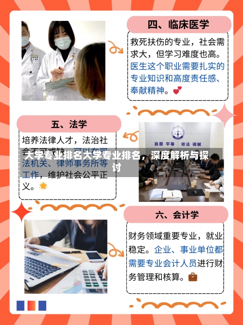 大学专业排名大学专业排名，深度解析与探讨-第1张图片-记录生活每一天