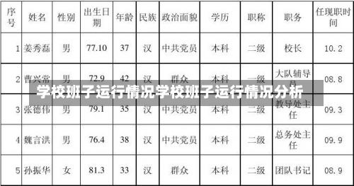 学校班子运行情况学校班子运行情况分析-第2张图片-记录生活每一天