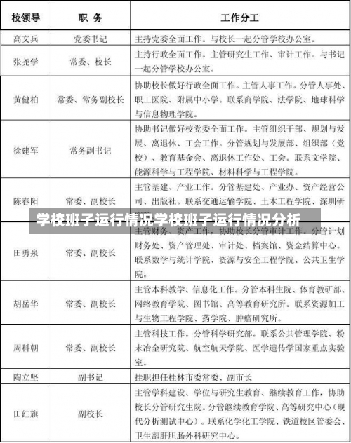 学校班子运行情况学校班子运行情况分析-第1张图片-记录生活每一天