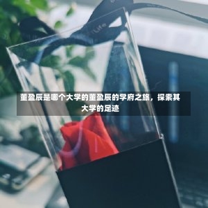 董盈辰是哪个大学的董盈辰的学府之旅，探索其大学的足迹-第2张图片-记录生活每一天