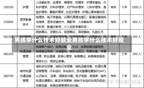 男孩学什么技术好就业男孩学什么技术好就业-第2张图片-记录生活每一天