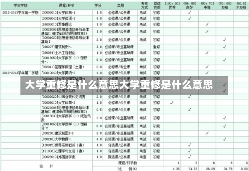 大学重修是什么意思大学重修是什么意思-第1张图片-记录生活每一天