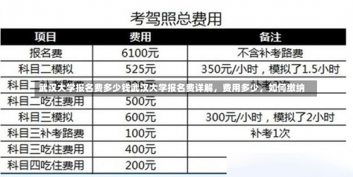 武汉大学报名费多少钱武汉大学报名费详解，费用多少，如何缴纳-第1张图片-记录生活每一天