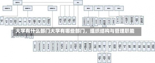 大学有什么部门大学有哪些部门，组织结构与管理职能-第1张图片-记录生活每一天