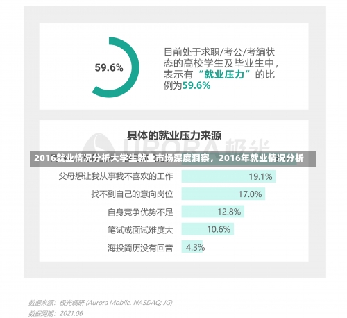 2016就业情况分析大学生就业市场深度洞察，2016年就业情况分析-第1张图片-记录生活每一天