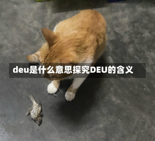 deu是什么意思探究DEU的含义-第2张图片-记录生活每一天