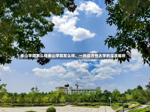 泰山学院怎么样泰山学院怎么样，一所综合性大学的深度解析-第3张图片-记录生活每一天