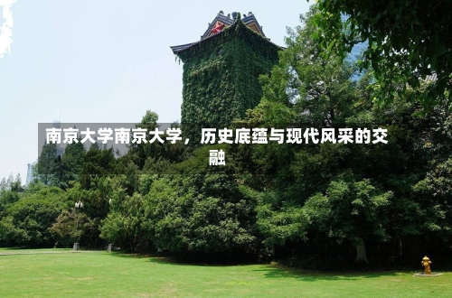 南京大学南京大学，历史底蕴与现代风采的交融-第1张图片-记录生活每一天