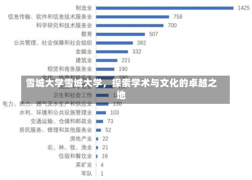 雪城大学雪城大学，探索学术与文化的卓越之地-第1张图片-记录生活每一天