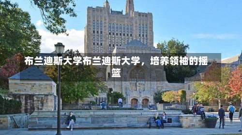 布兰迪斯大学布兰迪斯大学，培养领袖的摇篮-第2张图片-记录生活每一天