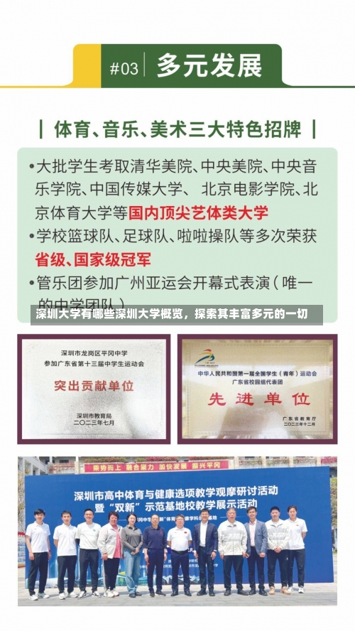 深圳大学有哪些深圳大学概览，探索其丰富多元的一切-第3张图片-记录生活每一天