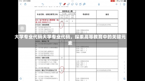 大学专业代码大学专业代码，探索高等教育中的关键元素-第2张图片-记录生活每一天