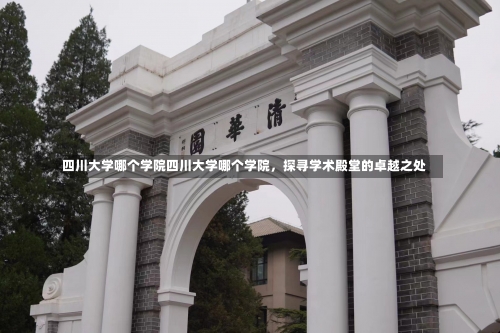 四川大学哪个学院四川大学哪个学院，探寻学术殿堂的卓越之处-第1张图片-记录生活每一天