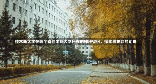 佳木斯大学在哪个省佳木斯大学所在的神秘省份，探索黑龙江的明珠-第1张图片-记录生活每一天