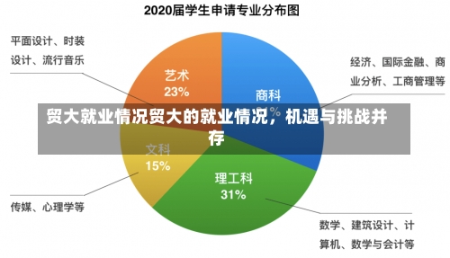 贸大就业情况贸大的就业情况，机遇与挑战并存-第1张图片-记录生活每一天