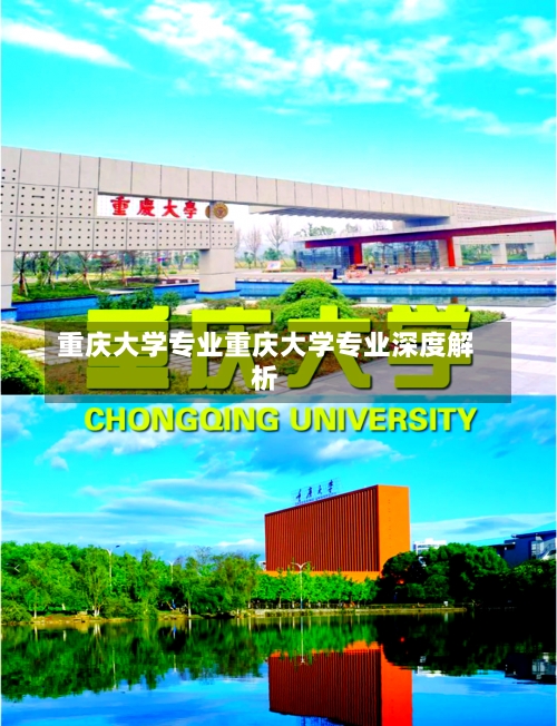 重庆大学专业重庆大学专业深度解析-第2张图片-记录生活每一天