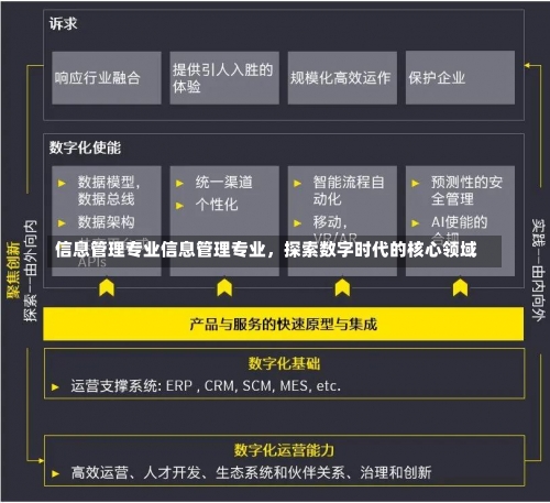 信息管理专业信息管理专业，探索数字时代的核心领域-第1张图片-记录生活每一天