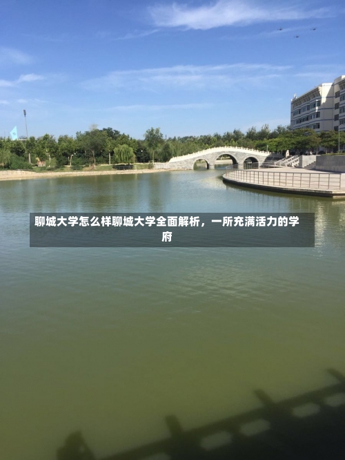 聊城大学怎么样聊城大学全面解析，一所充满活力的学府-第1张图片-记录生活每一天