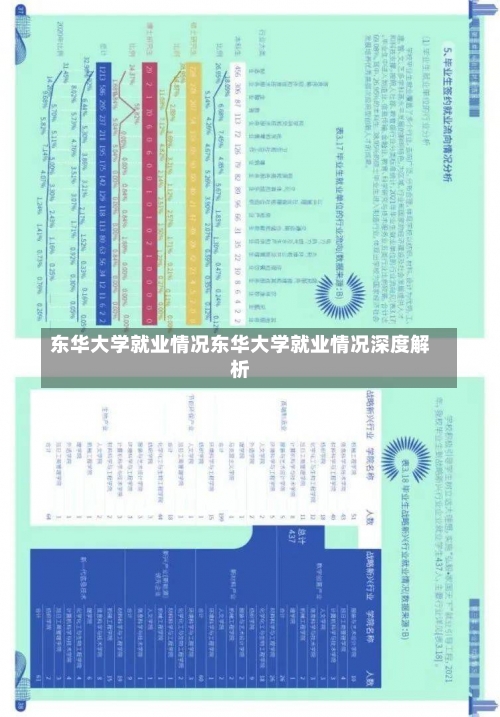 东华大学就业情况东华大学就业情况深度解析-第2张图片-记录生活每一天