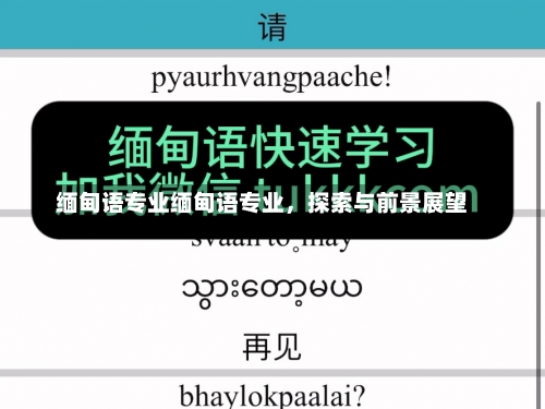 缅甸语专业缅甸语专业，探索与前景展望-第2张图片-记录生活每一天