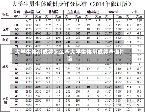 大学生体测成绩怎么查大学生体测成绩查询指南-第1张图片-记录生活每一天