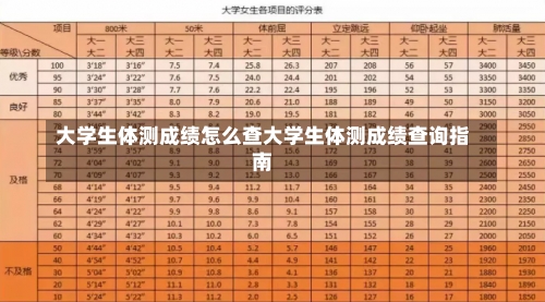 大学生体测成绩怎么查大学生体测成绩查询指南-第2张图片-记录生活每一天