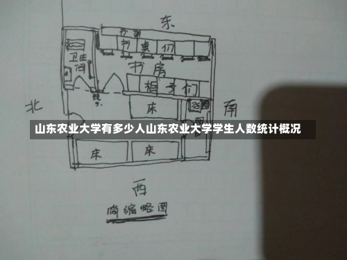 山东农业大学有多少人山东农业大学学生人数统计概况-第1张图片-记录生活每一天