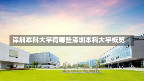 深圳本科大学有哪些深圳本科大学概览-第1张图片-记录生活每一天