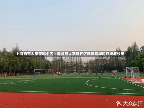 上海师范大学在哪个区上海师范大学所在区域及其周边环境与设施-第1张图片-记录生活每一天