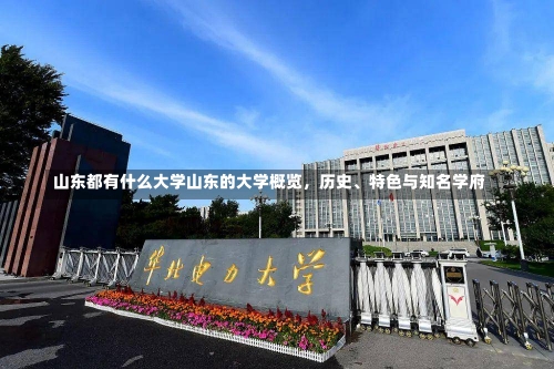 山东都有什么大学山东的大学概览，历史、特色与知名学府-第1张图片-记录生活每一天