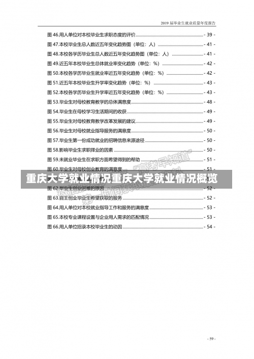 重庆大学就业情况重庆大学就业情况概览-第1张图片-记录生活每一天