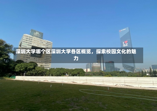 深圳大学哪个区深圳大学各区概览，探索校园文化的魅力-第1张图片-记录生活每一天