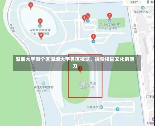 深圳大学哪个区深圳大学各区概览，探索校园文化的魅力-第2张图片-记录生活每一天