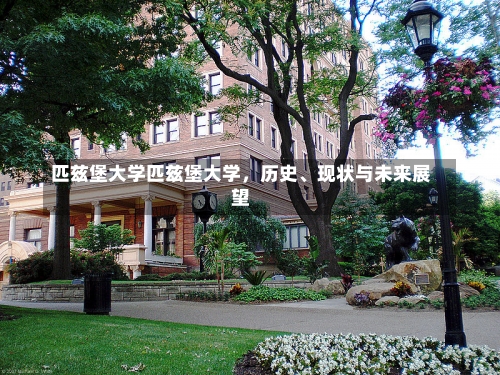 匹兹堡大学匹兹堡大学，历史、现状与未来展望-第1张图片-记录生活每一天