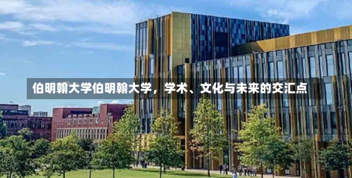 伯明翰大学伯明翰大学，学术、文化与未来的交汇点-第3张图片-记录生活每一天