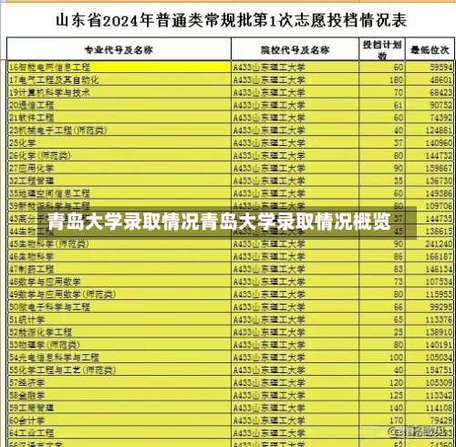 青岛大学录取情况青岛大学录取情况概览-第2张图片-记录生活每一天