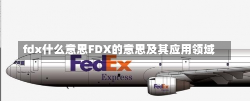 fdx什么意思FDX的意思及其应用领域-第1张图片-记录生活每一天