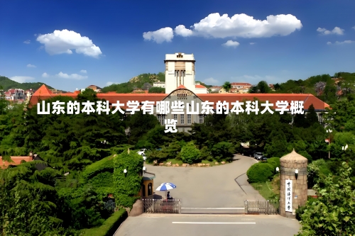 山东的本科大学有哪些山东的本科大学概览-第2张图片-记录生活每一天