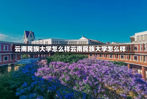 云南民族大学怎么样云南民族大学怎么样-第3张图片-记录生活每一天