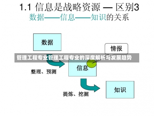 管理工程专业管理工程专业的深度解析与发展趋势-第3张图片-记录生活每一天