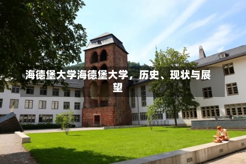 海德堡大学海德堡大学，历史、现状与展望-第1张图片-记录生活每一天