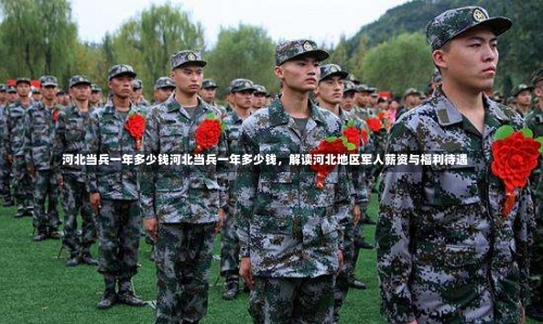 河北当兵一年多少钱河北当兵一年多少钱，解读河北地区军人薪资与福利待遇-第2张图片-记录生活每一天