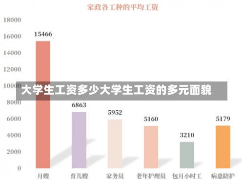 大学生工资多少大学生工资的多元面貌-第2张图片-记录生活每一天