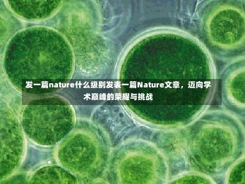 发一篇nature什么级别发表一篇Nature文章，迈向学术巅峰的荣耀与挑战-第1张图片-记录生活每一天