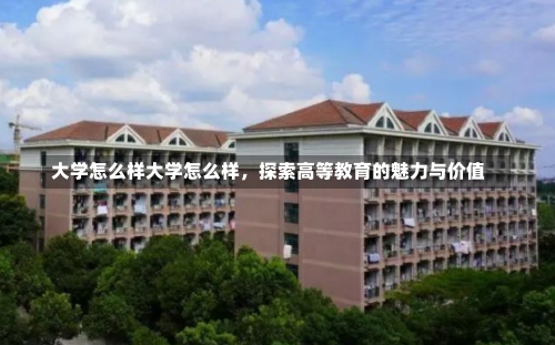 大学怎么样大学怎么样，探索高等教育的魅力与价值-第3张图片-记录生活每一天