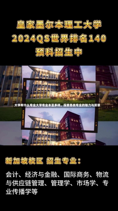 大学有什么专业大学专业丰富多样，探索各类专业的魅力与前景-第3张图片-记录生活每一天