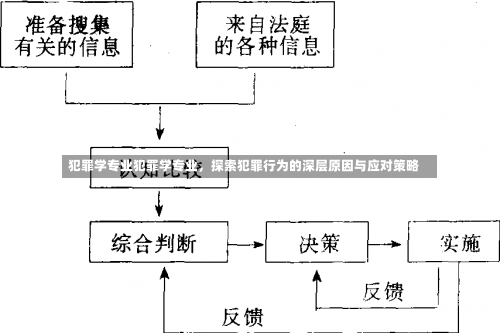 犯罪学专业犯罪学专业，探索犯罪行为的深层原因与应对策略-第1张图片-记录生活每一天