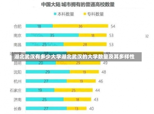 湖北武汉有多少大学湖北武汉的大学数量及其多样性-第3张图片-记录生活每一天