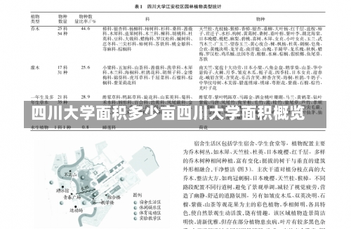 四川大学面积多少亩四川大学面积概览-第3张图片-记录生活每一天