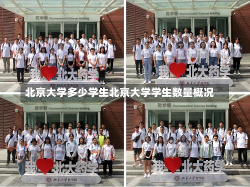 北京大学多少学生北京大学学生数量概况-第2张图片-记录生活每一天